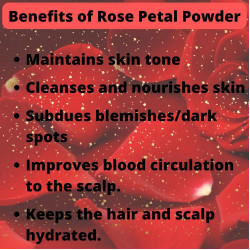 Organic Rose Petal Powder (Rosa Indica) for Skin & Hair