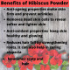 Hibiscus Flowder Powder for Hair & Skin (Hibiscus Rosa-Sinensis)