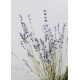 Natural Walnut & Lavender Exfoliating Scrub for  Smooth & Polished Skin